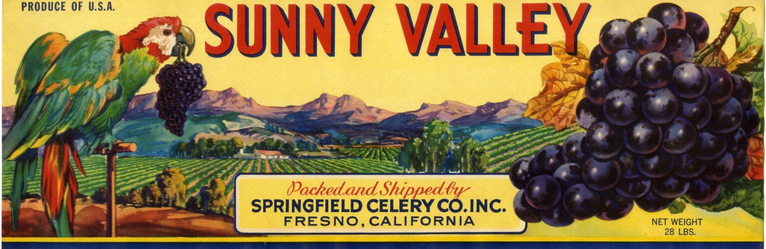Sunny Valley Sunny Valley
